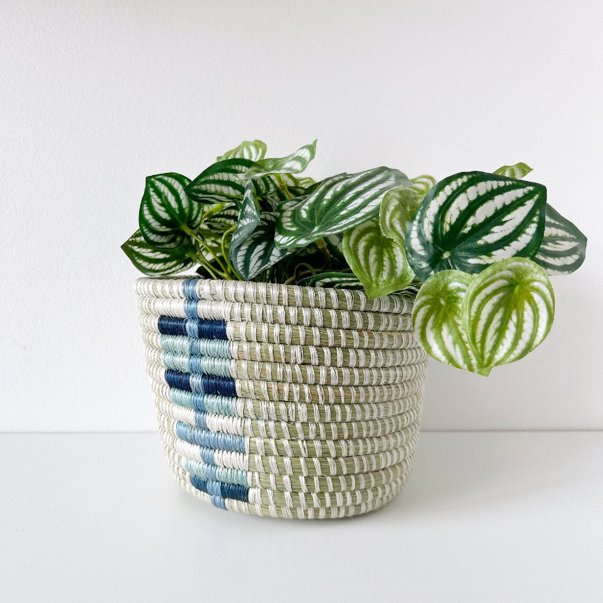 mondocherry - African woven planter "Gitesi" | blue #2 - plant