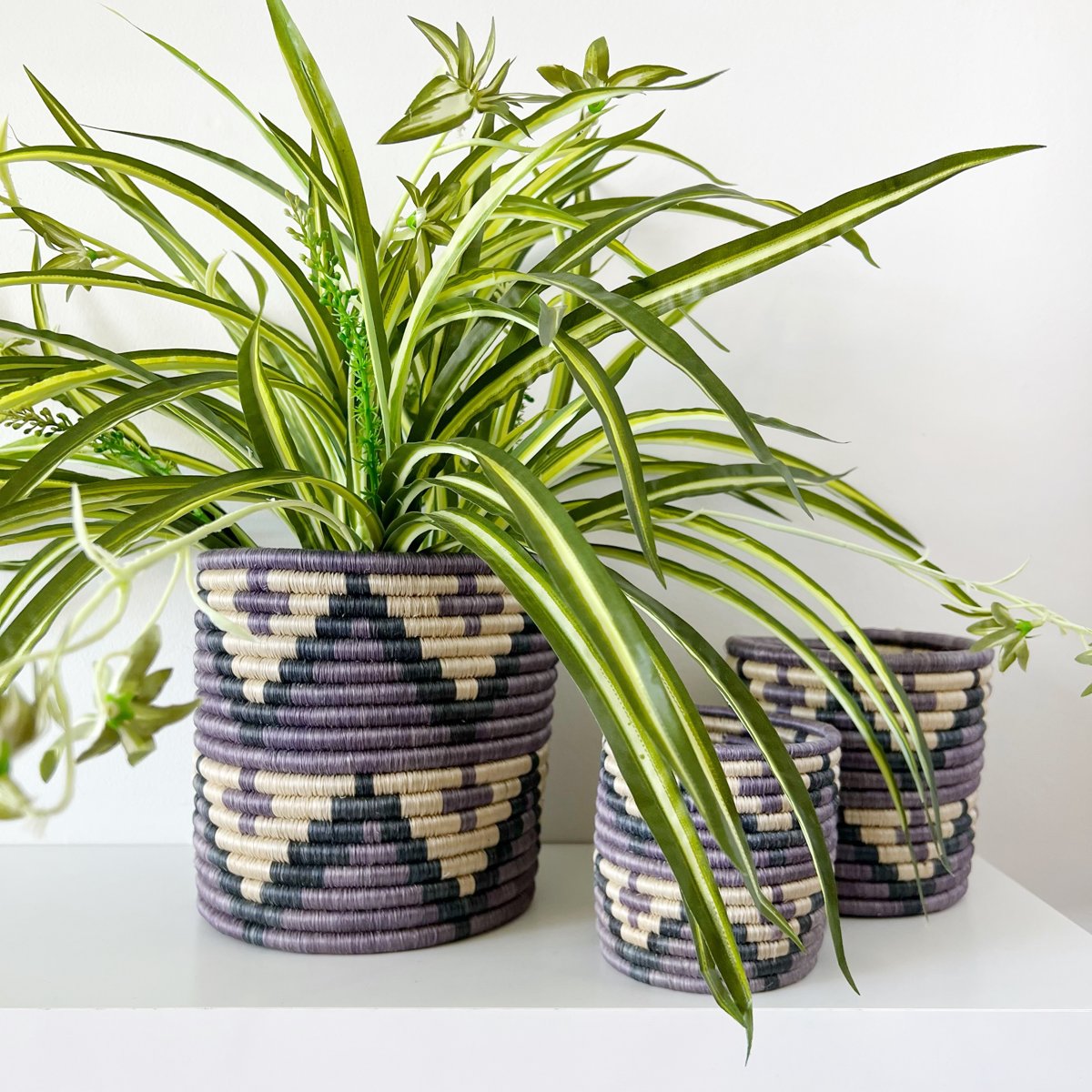 mondocherry - African woven planter "Mihindi" | purple | large - display