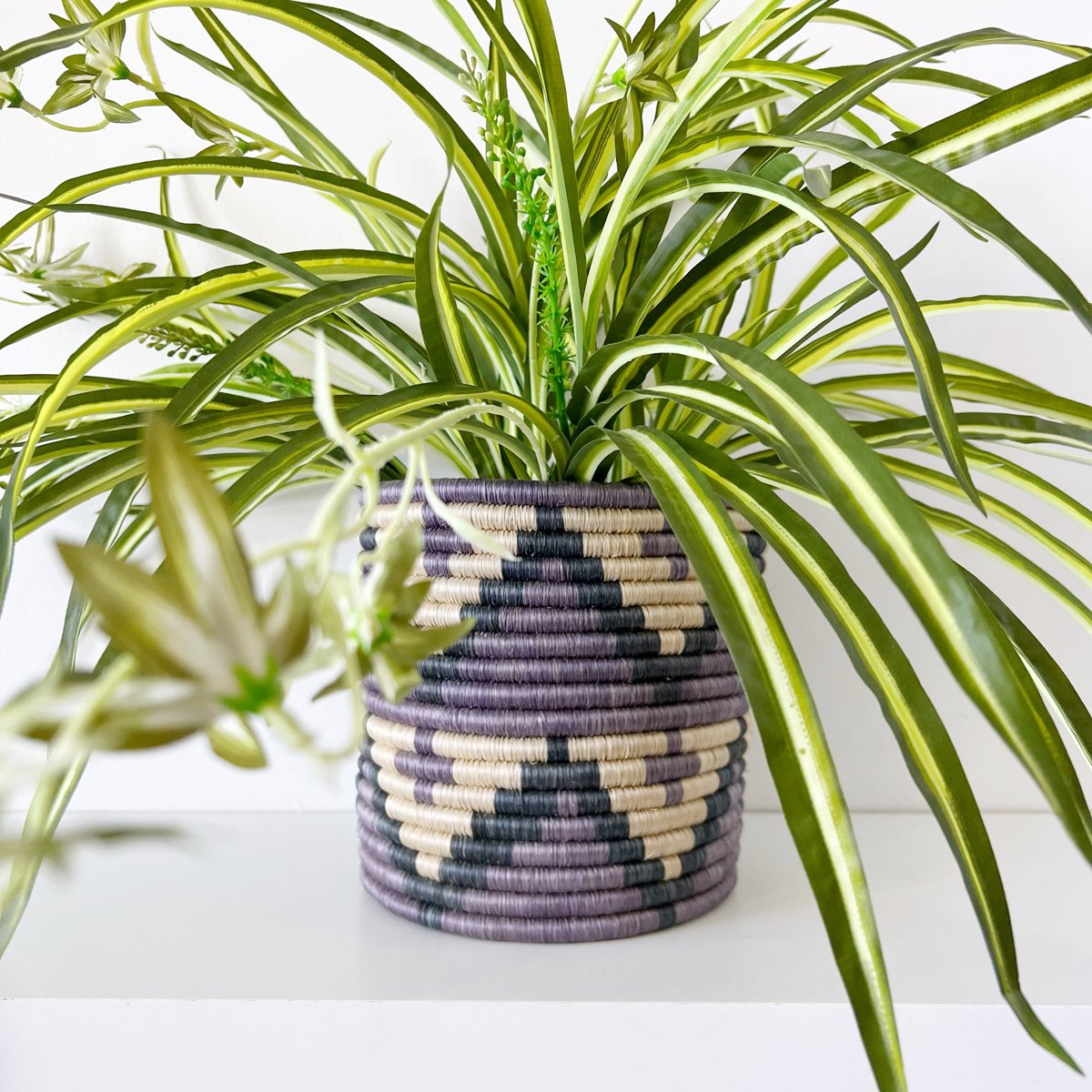 mondocherry - African woven planter "Mihindi" | purple | medium - plant