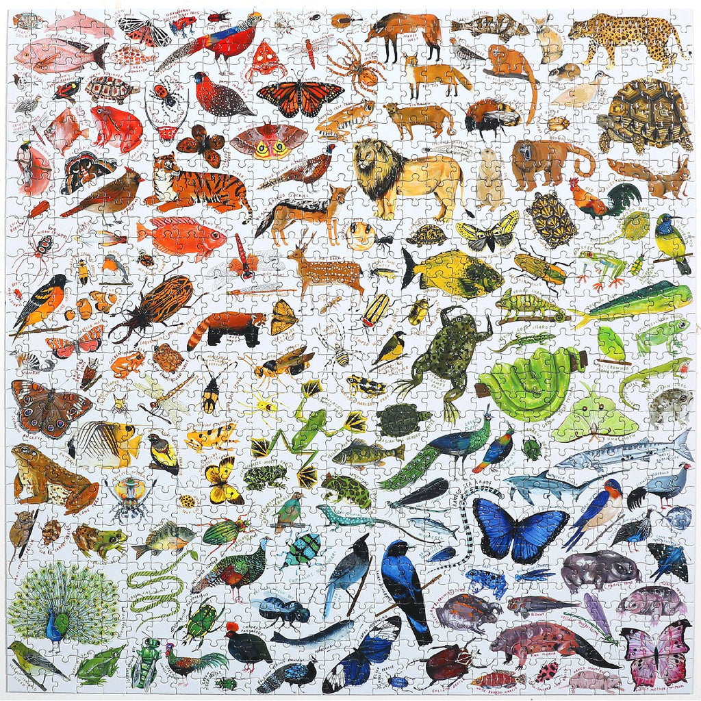 Eeboo | 1000 piece puzzle | Rainbow World - complete