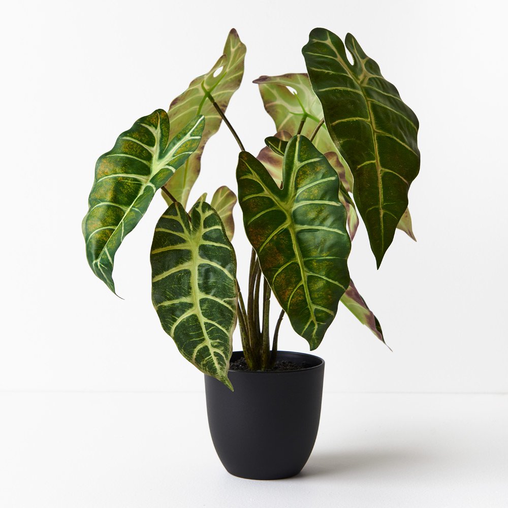 Floral Interiors | artificial alocasia plant | dark green