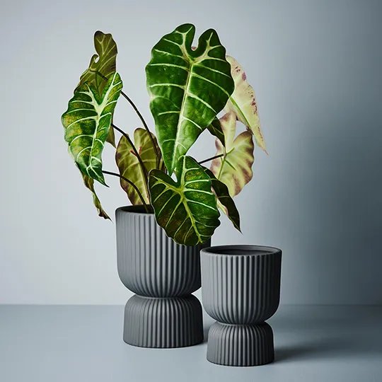Floral Interiors | annix pedestal pot #1 | steel - styled