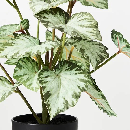 Floral Interiors | artificial begonia plant in pot | green - close