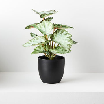 Floral Interiors | artificial begonia plant in pot | green