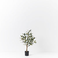 Floral Interiors | artificial olive tree | green