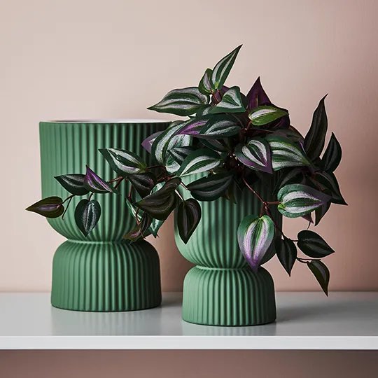 Floral Interiors | palina pedestal pot #1 | mint green - styled