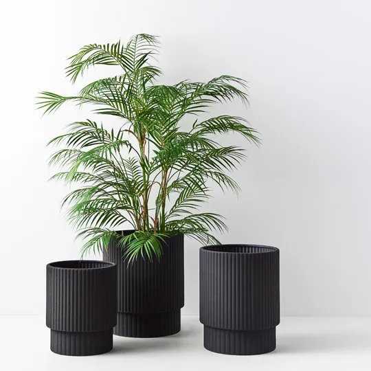 mondocherry - Floral Interiors | artificial phoenix palm - in pots