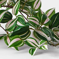 Floral Interiors | artificial wandering jew hanging bush in pot - close