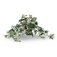 Floral Interiors | artificial wandering jew hanging bush in pot