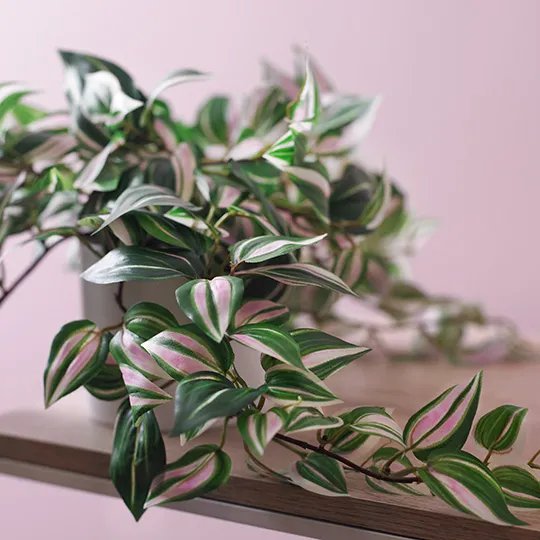 Floral Interiors | artificial wandering jew hanging bush in pot - styled