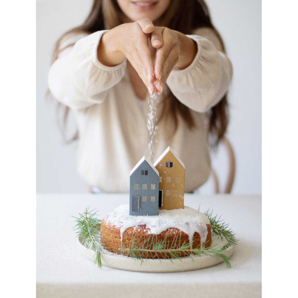 mondocherry - Jurianne Matter | TUS tiny houses - snow