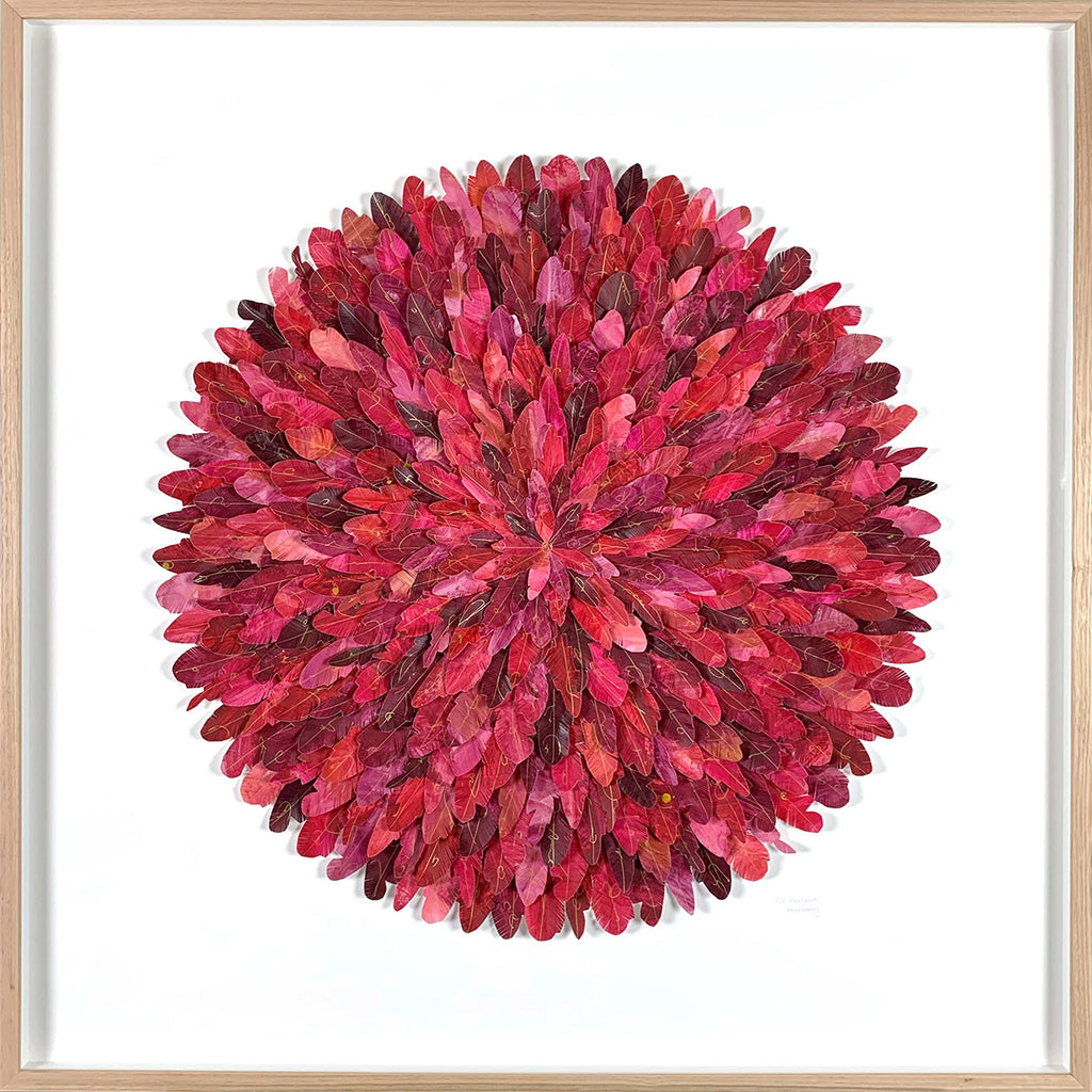 "red avadavat" - paper feather framed wall art