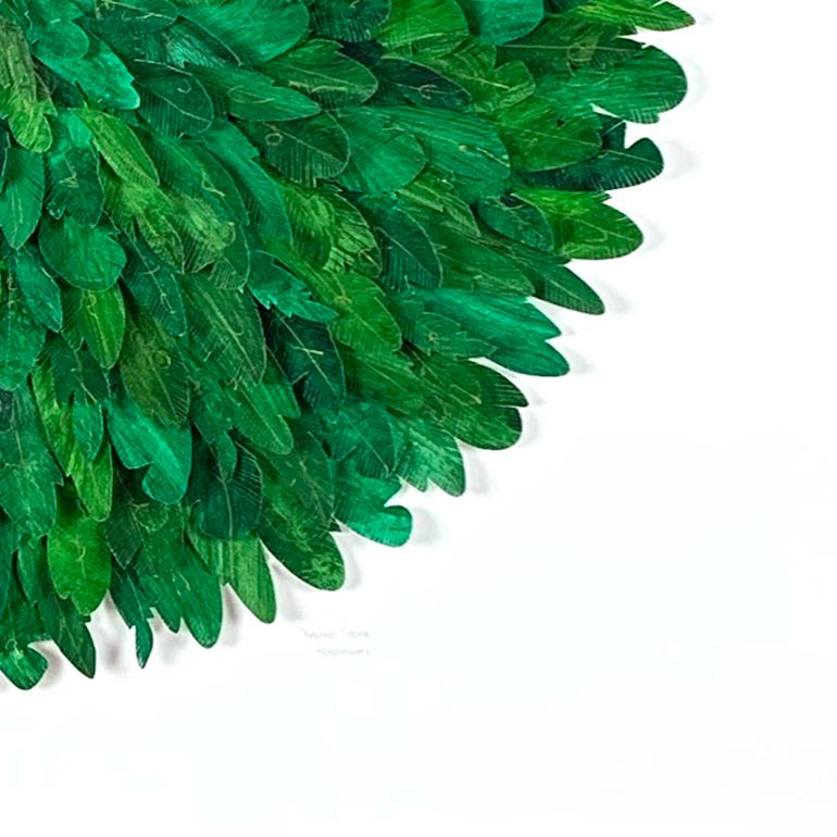 mondocherry Knysna Loerie paper feather artwork closeup