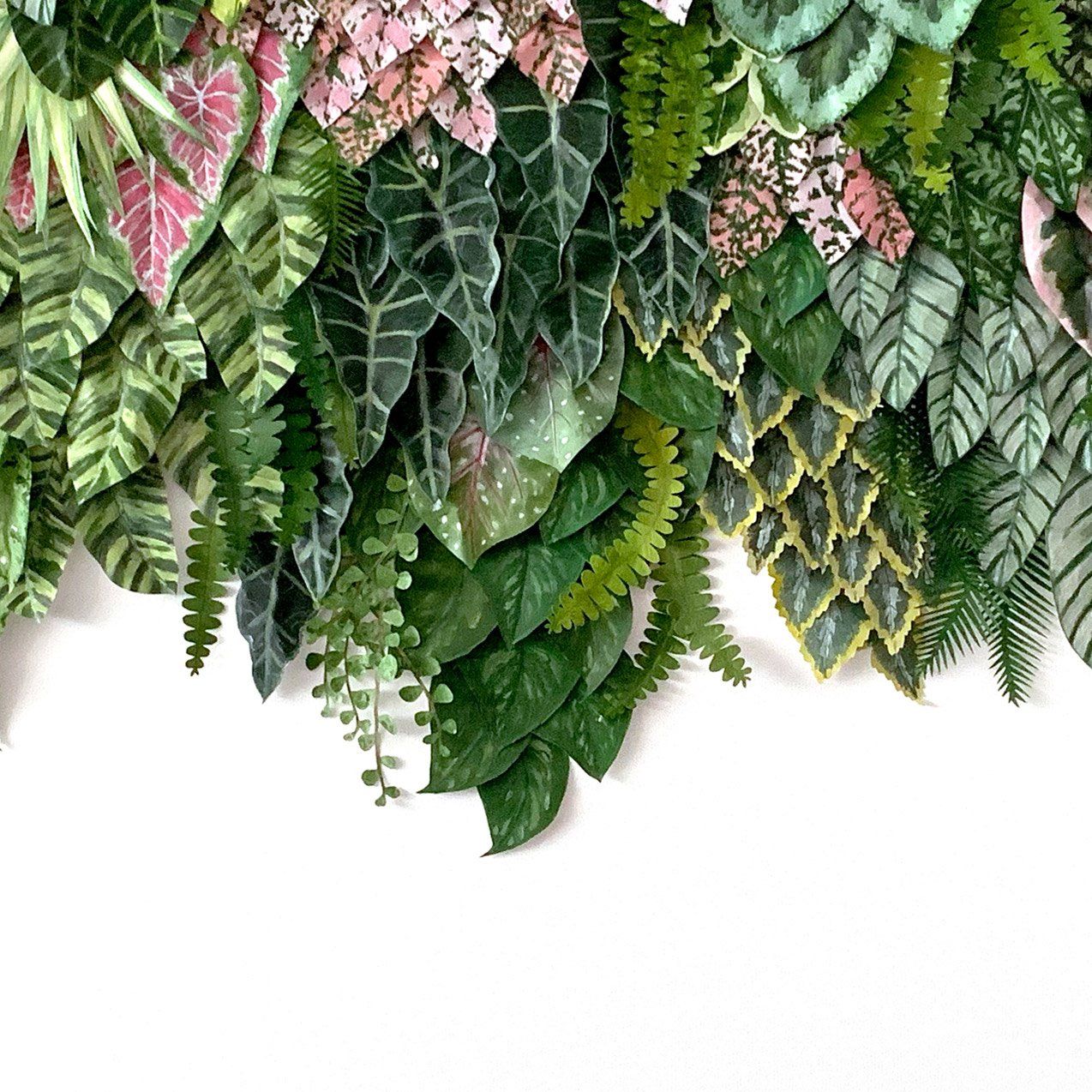 mondocherry greenwall artwork "Gunung Malu" closeup