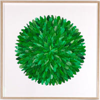"lesser green broadbill" | paper feather framed wall art - frame