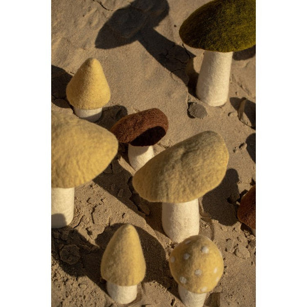 mondocherry - Muskhane | felt mushroom | small | chestnut - collection