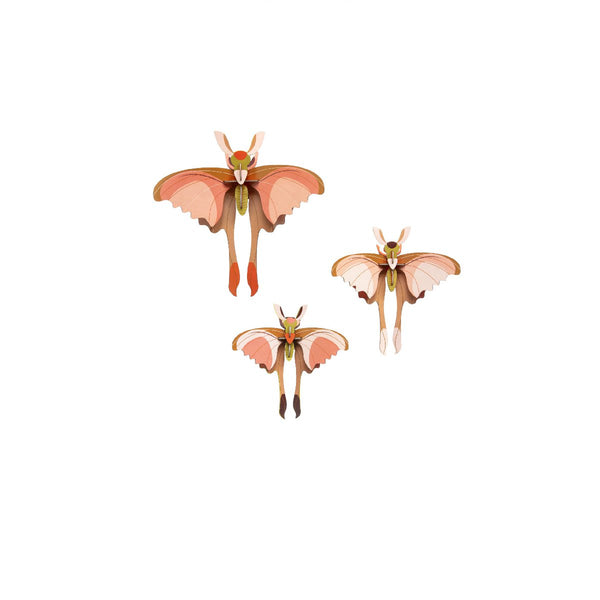 Studio Roof | comet butterflies | set of 3 | wall decor