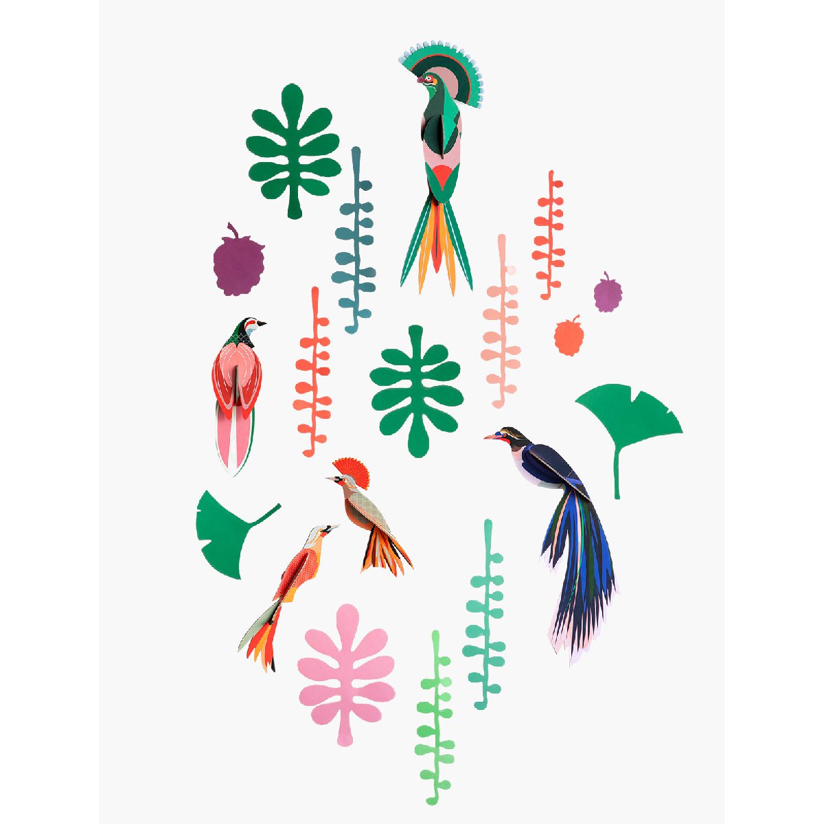 Studio Roof | wall of curiosities | bird observer