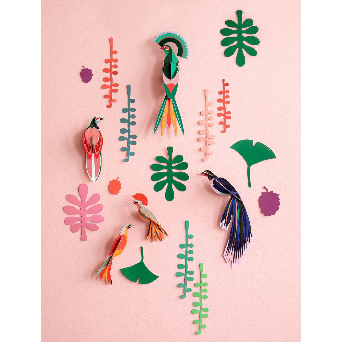 Studio Roof | wall of curiosities | bird observer - display