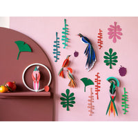 Studio Roof | wall of curiosities | bird observer - display