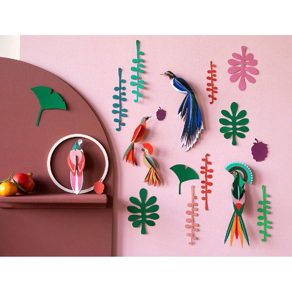 Studio Roof | wall of curiosities | bird observer - display