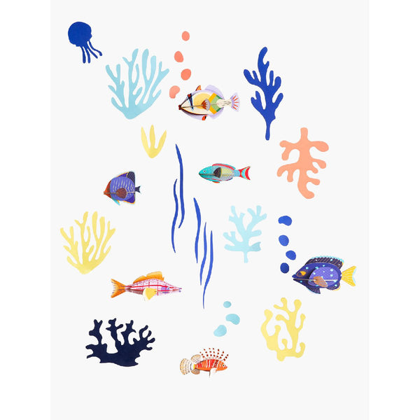 Studio Roof | wall of curiosities | fish hobbyist