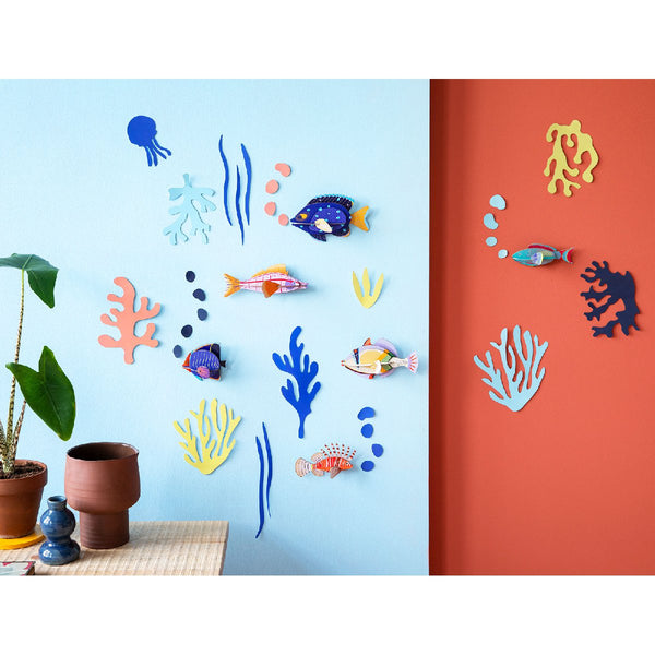 Studio Roof | wall of curiosities | fish hobbyist - wall display