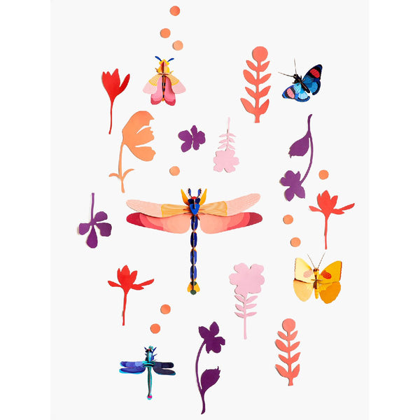 Studio Roof | wall of curiosities | insect connoisseur