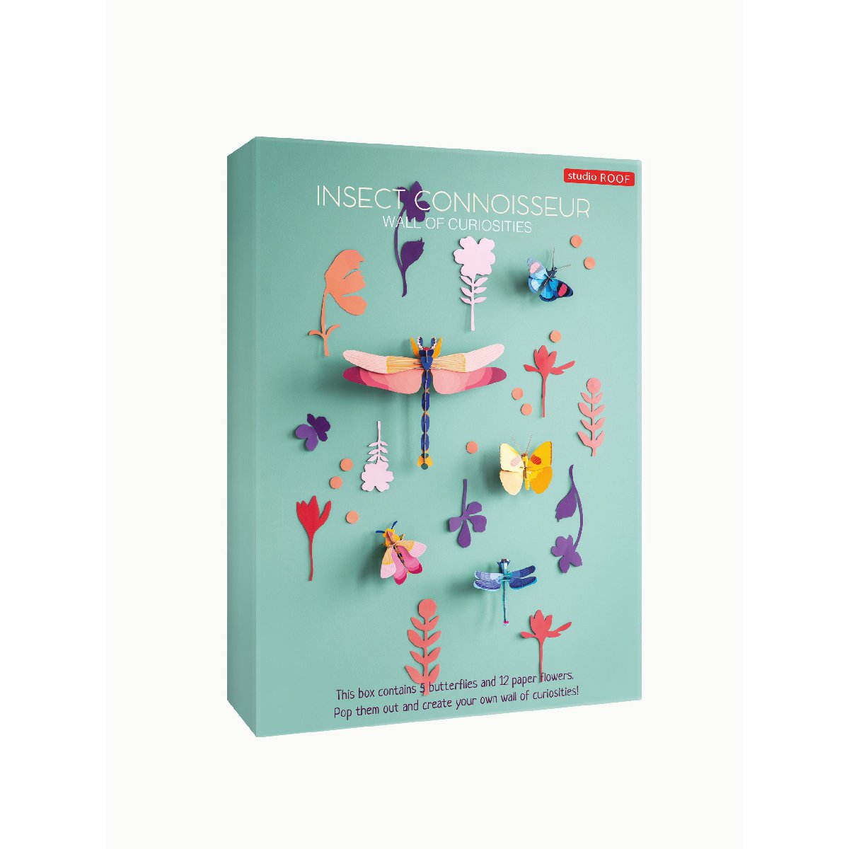 Studio Roof | wall of curiosities | insect connoisseur - box