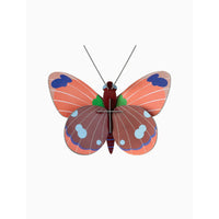 mondocherry - Studio Roof | Delias butterfly wall decor