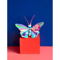 Studio Roof | diy butterfly - display