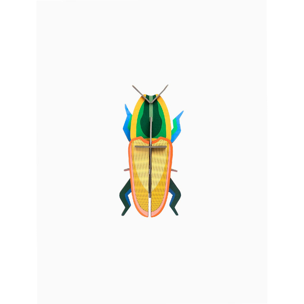 mondocherry - Studio Roof | madagascar beetle wall decor