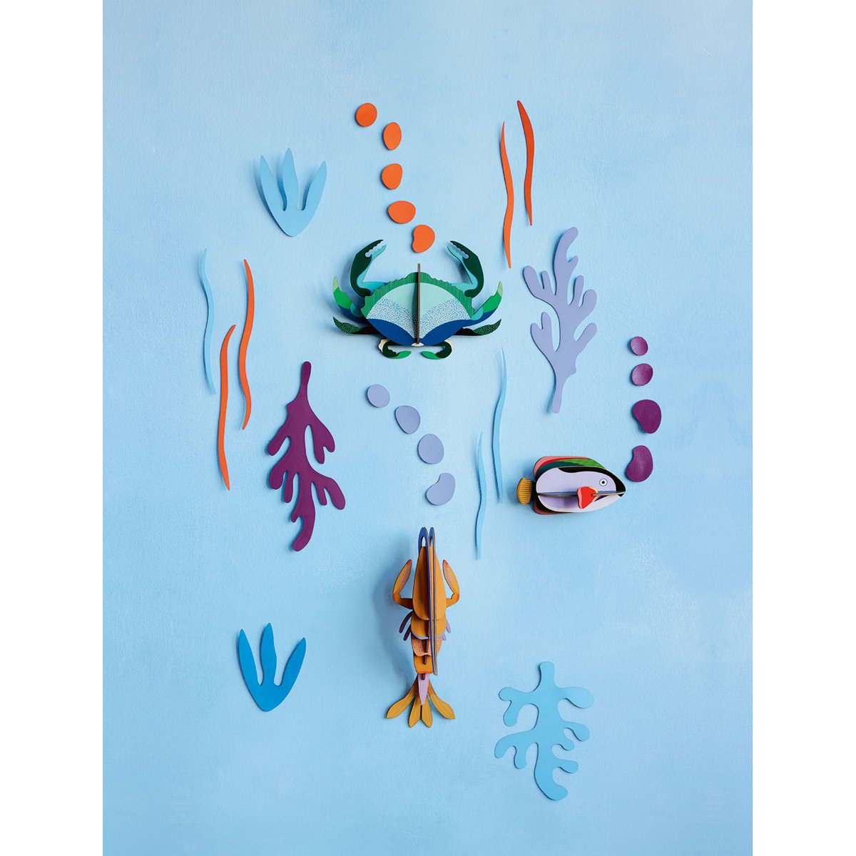 mondocherry - Studio Roof | wall of curiosity | ocean's tale - display