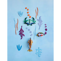 mondocherry - Studio Roof | wall of curiosity | ocean's tale - display