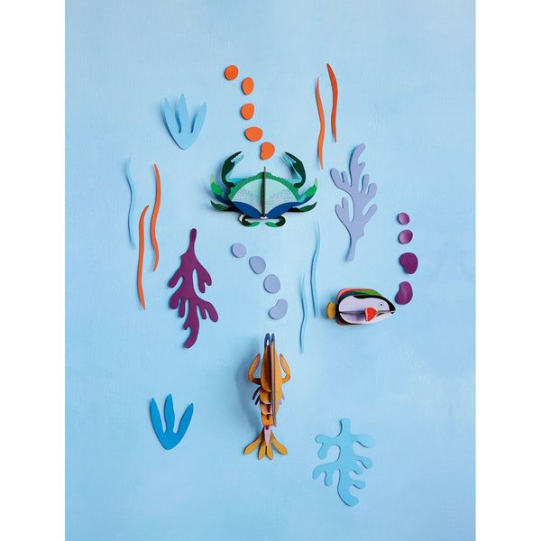 mondocherry - Studio Roof | wall of curiosity | ocean's tale - display