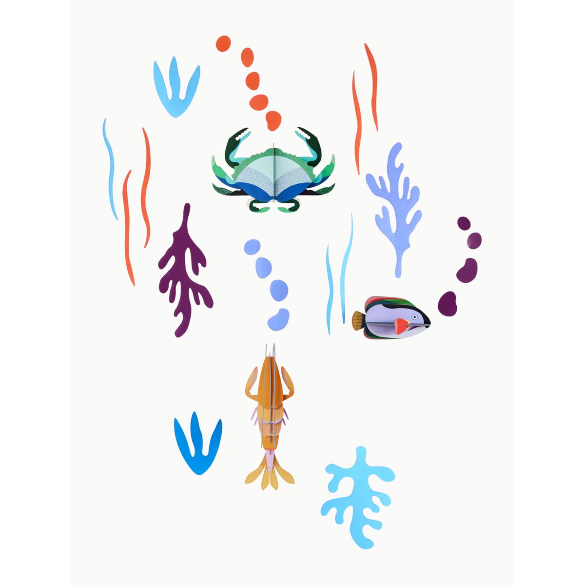 mondocherry - Studio Roof | wall of curiosity | ocean's tale