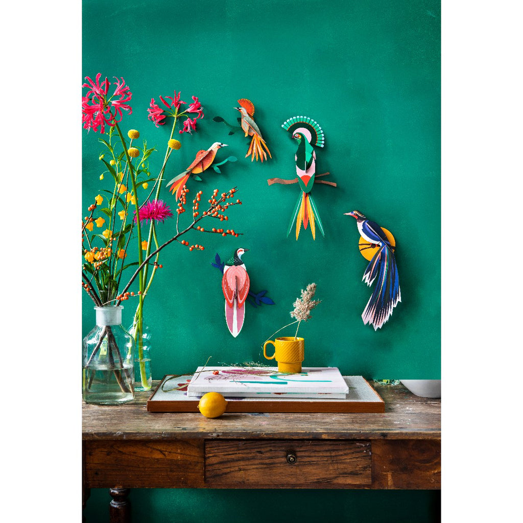 Studio Roof | paradise bird flores wall decor - collection