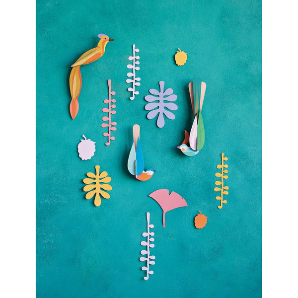 mondocherry - Studio Roof | wall of curiosity | paradise nest - display