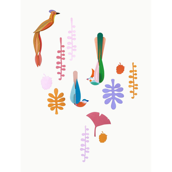 mondocherry - Studio Roof | wall of curiosity | paradise nest