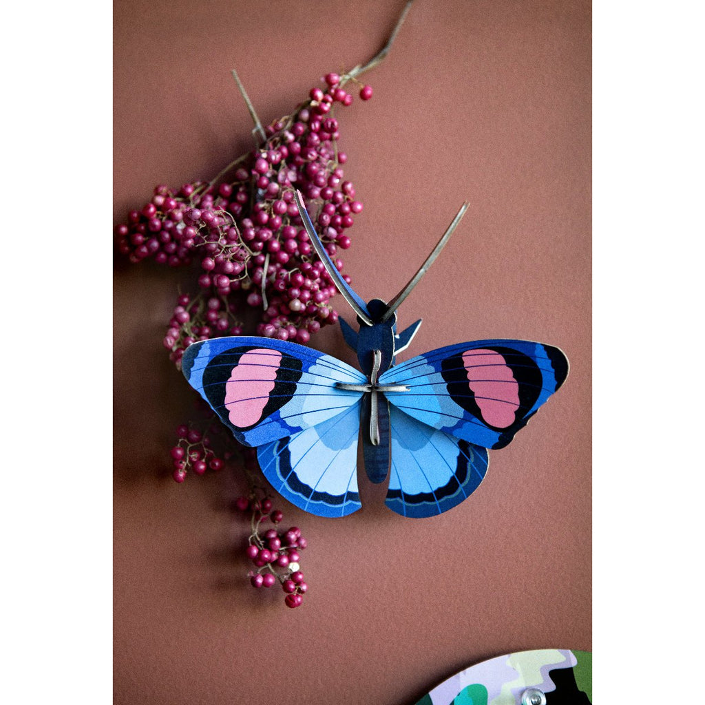 Studio Roof | peacock butterfly wall decor - wall