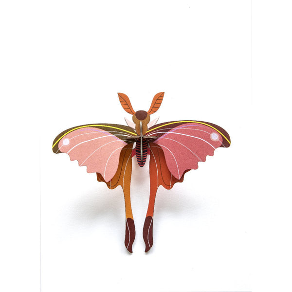Studio Roof | pink comet butterfly wall decor