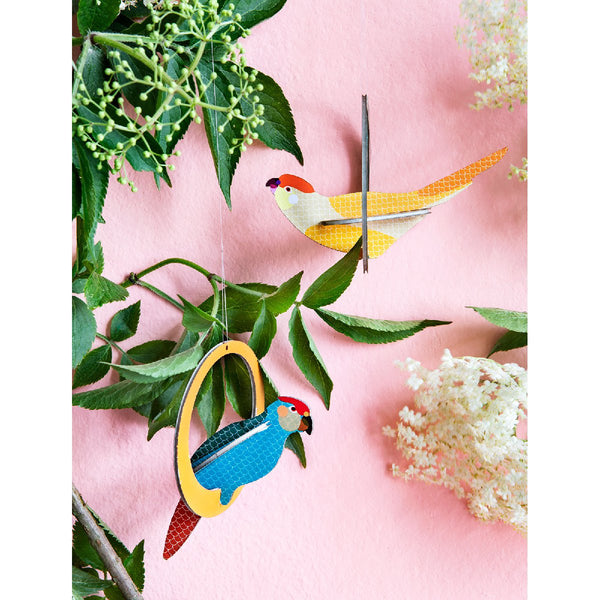 Studio Roof | swinging parakeets pop out card -- display