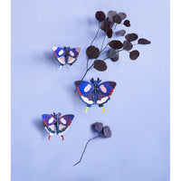 Studio Roof | swallowtail butterflies | set of 3 | wall decor - wall