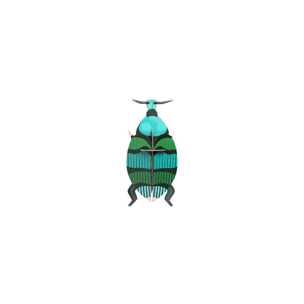 Studio Roof | weevil beetle wall decor