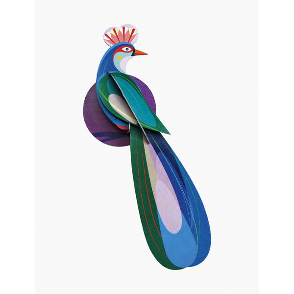 Studio Roof | paradise bird banda wall decor