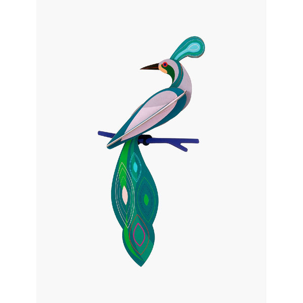 Studio Roof | paradise bird fiji wall decor