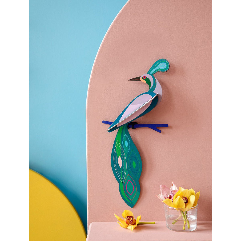 Studio Roof | paradise bird fiji wall decor - display
