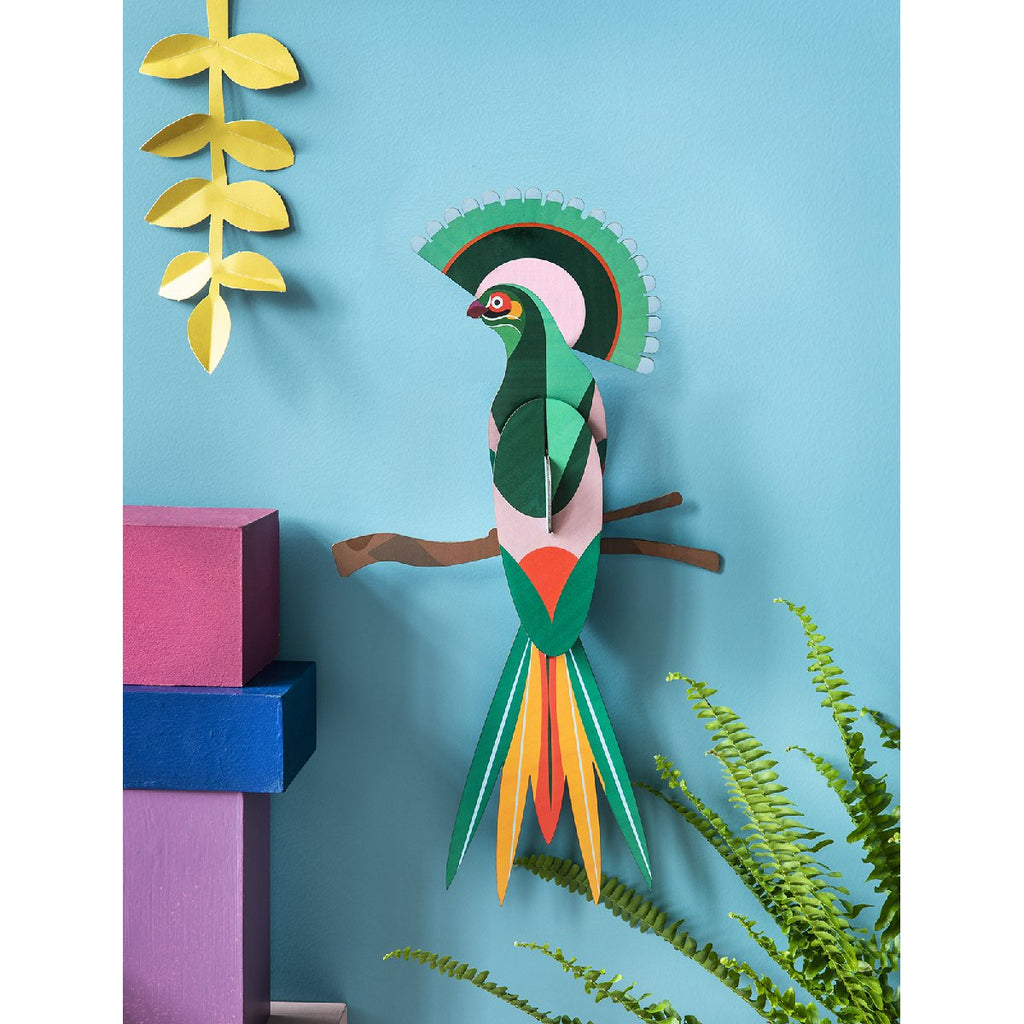 Studio Roof | paradise bird gili wall decor - display