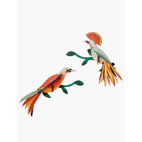 Studio Roof | paradise bird obi wall decor