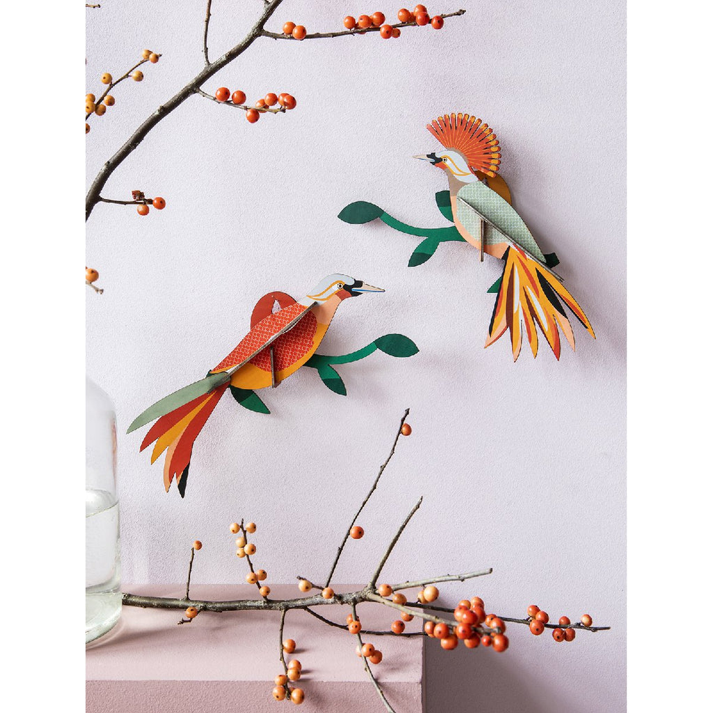 Studio Roof | paradise bird obi wall decor - display